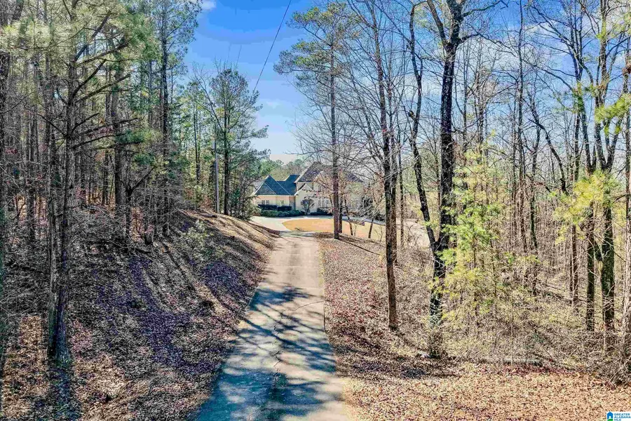 347 MCMAHON HIGHLAND ROAD, Calera, AL 35040 - #3