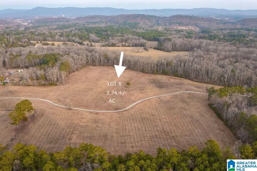 Lot 8 CEDAR SPRINGS DRIVE, Jacksonville, AL 36265 - #3