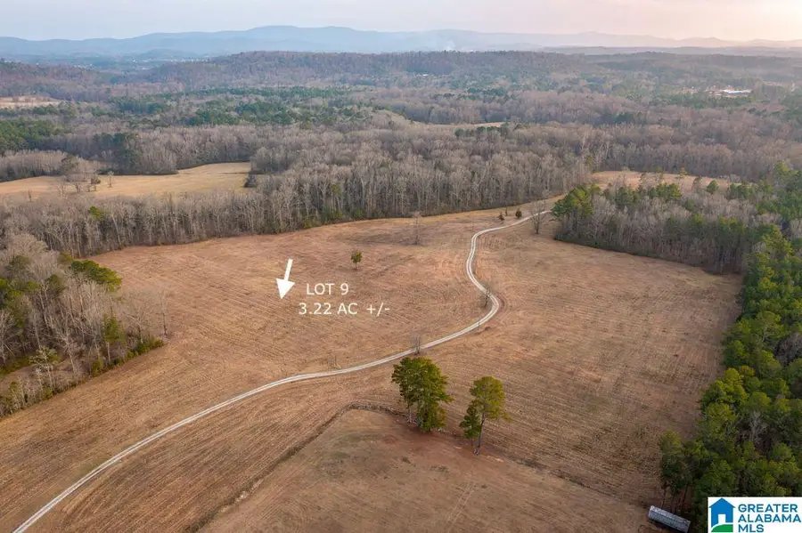 Lot 9 CEDAR SPRINGS DRIVE, Jacksonville, AL 36265 - #3