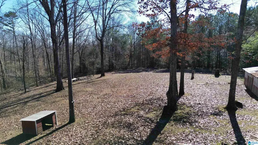 9516 NEWELL HILL ROAD, Warrior, AL 35180 - #3