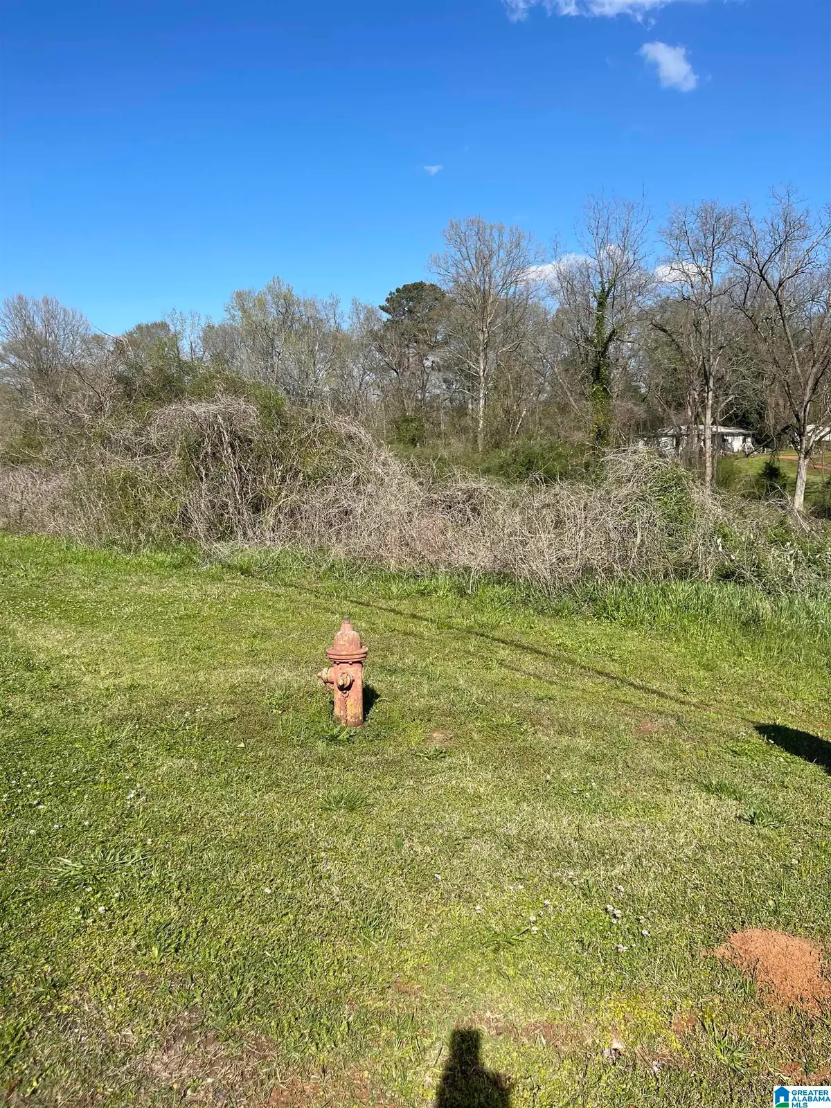 0 FRANKLIN ROAD, Roanoke, AL 36274 - #1