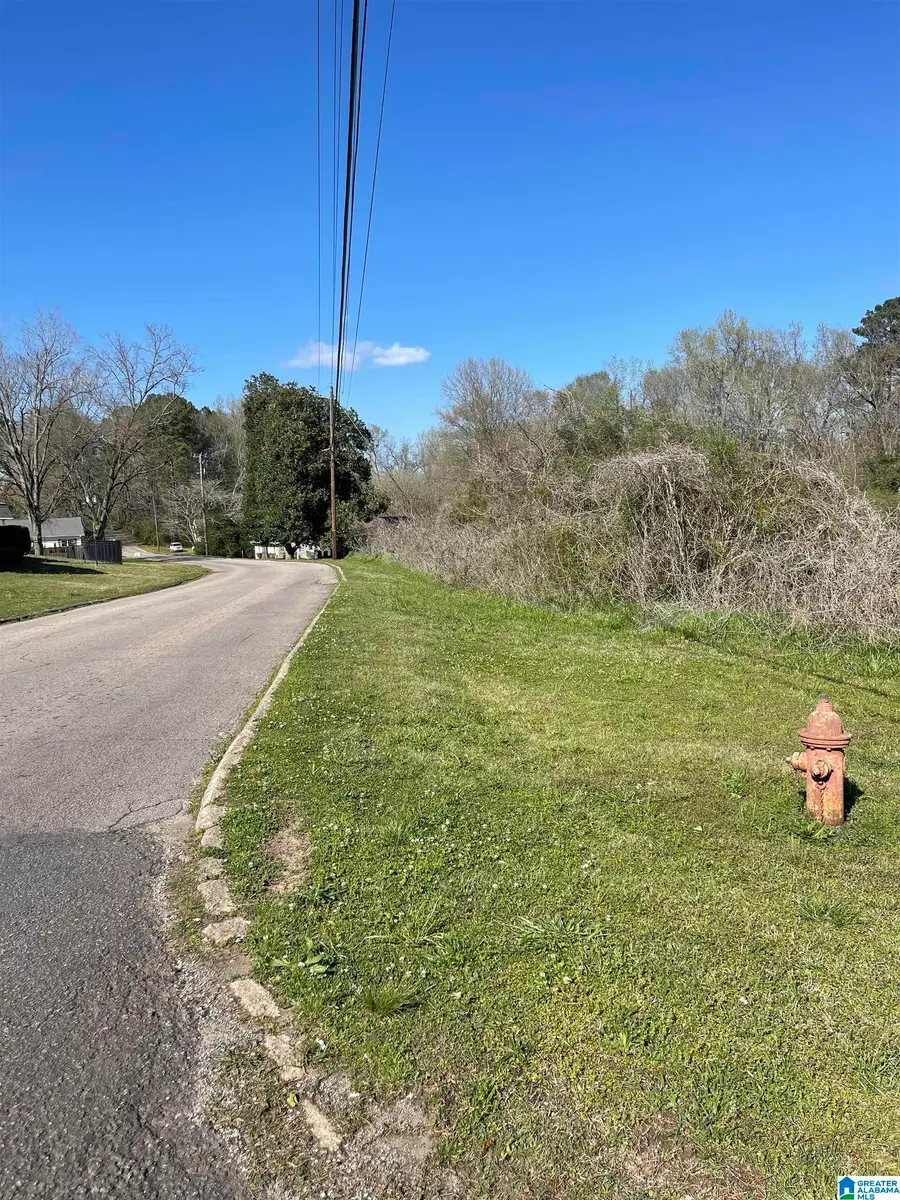 0 FRANKLIN ROAD, Roanoke, AL 36274 - #2