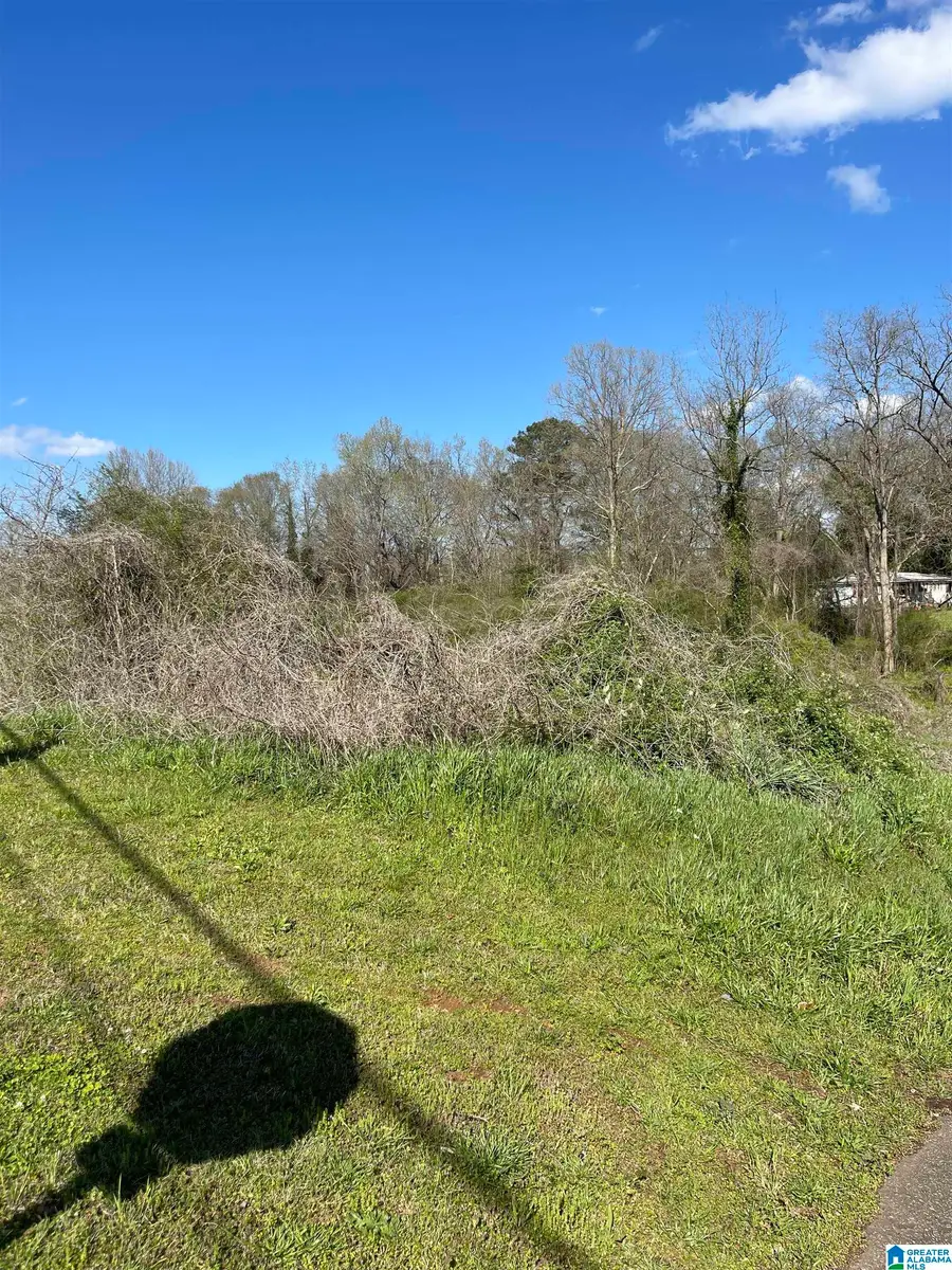 0 FRANKLIN ROAD, Roanoke, AL 36274 - #3