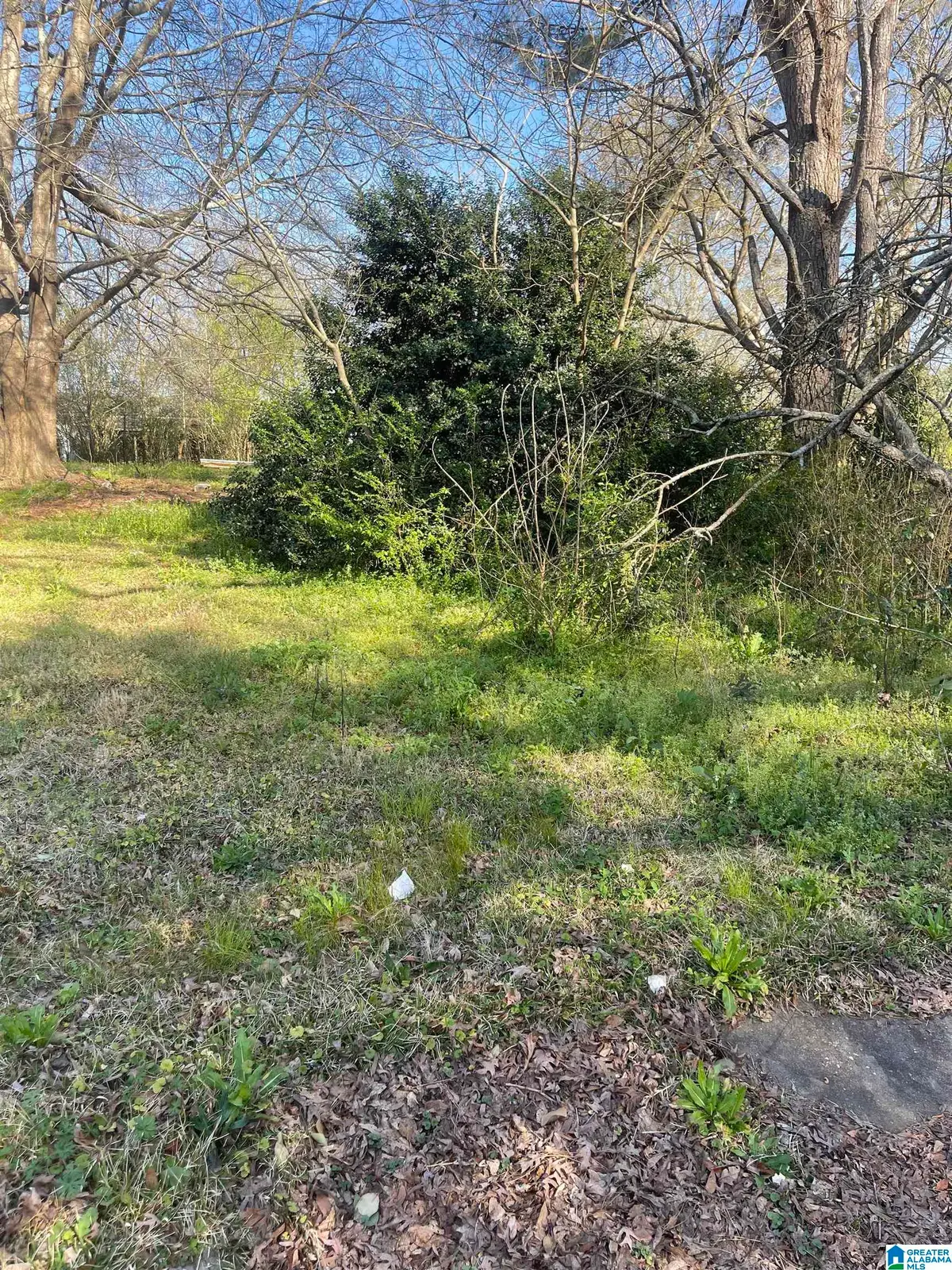 0 WEST AVENUE, Roanoke, AL 36274 - #1