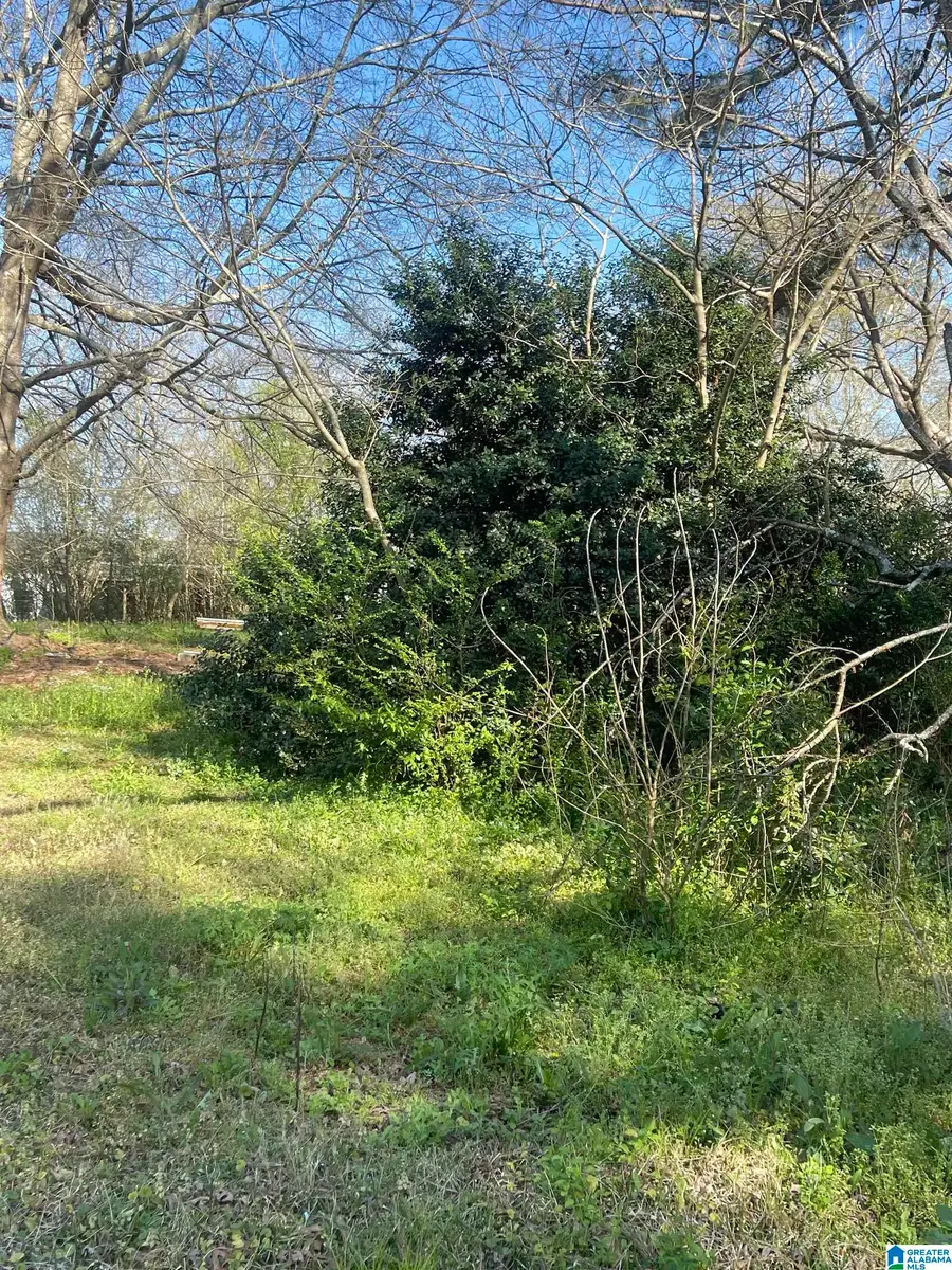 0 WEST AVENUE, Roanoke, AL 36274 - #2