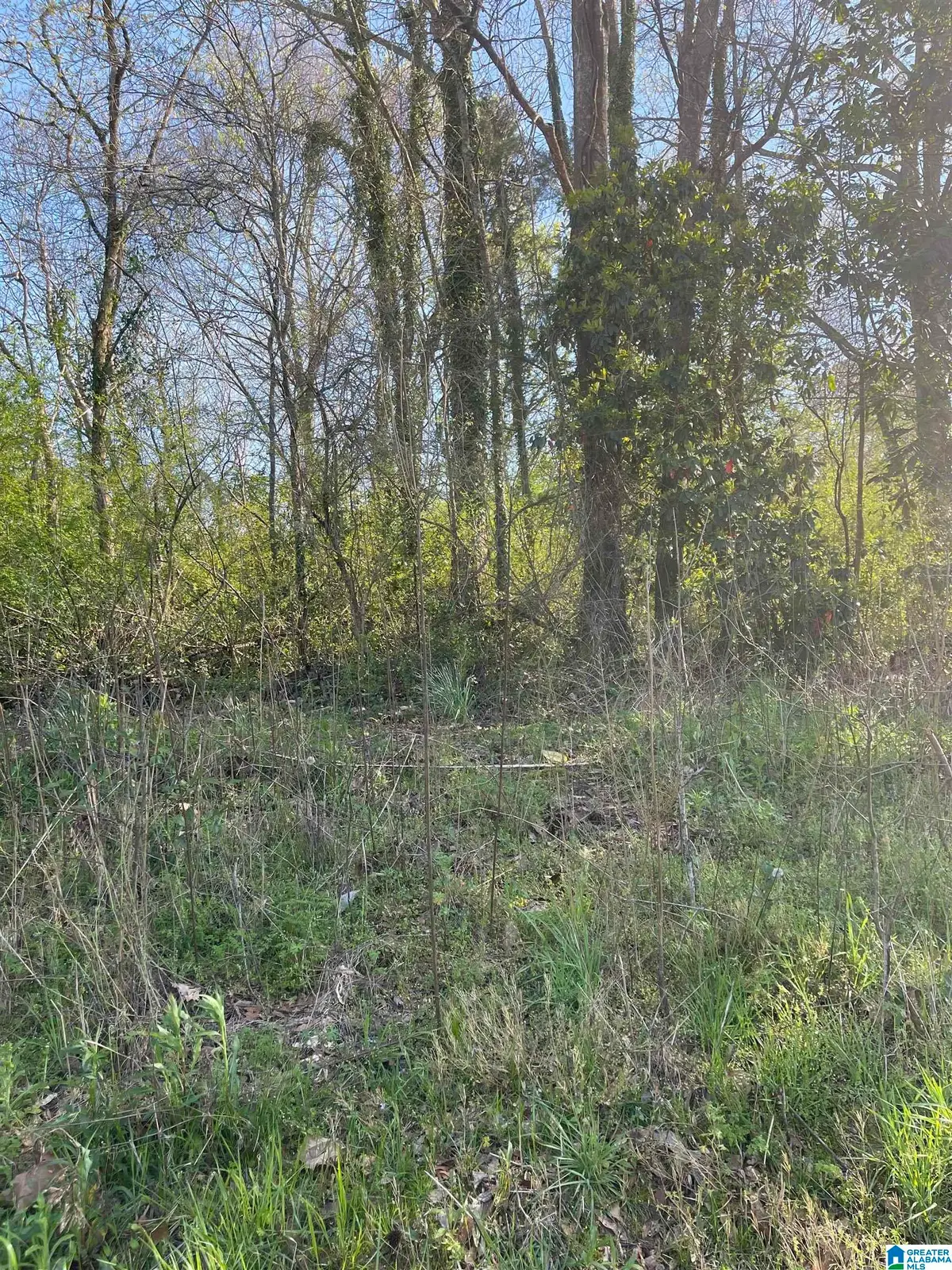 0 FRANKLIN STREET, Roanoke, AL 36274 - #1