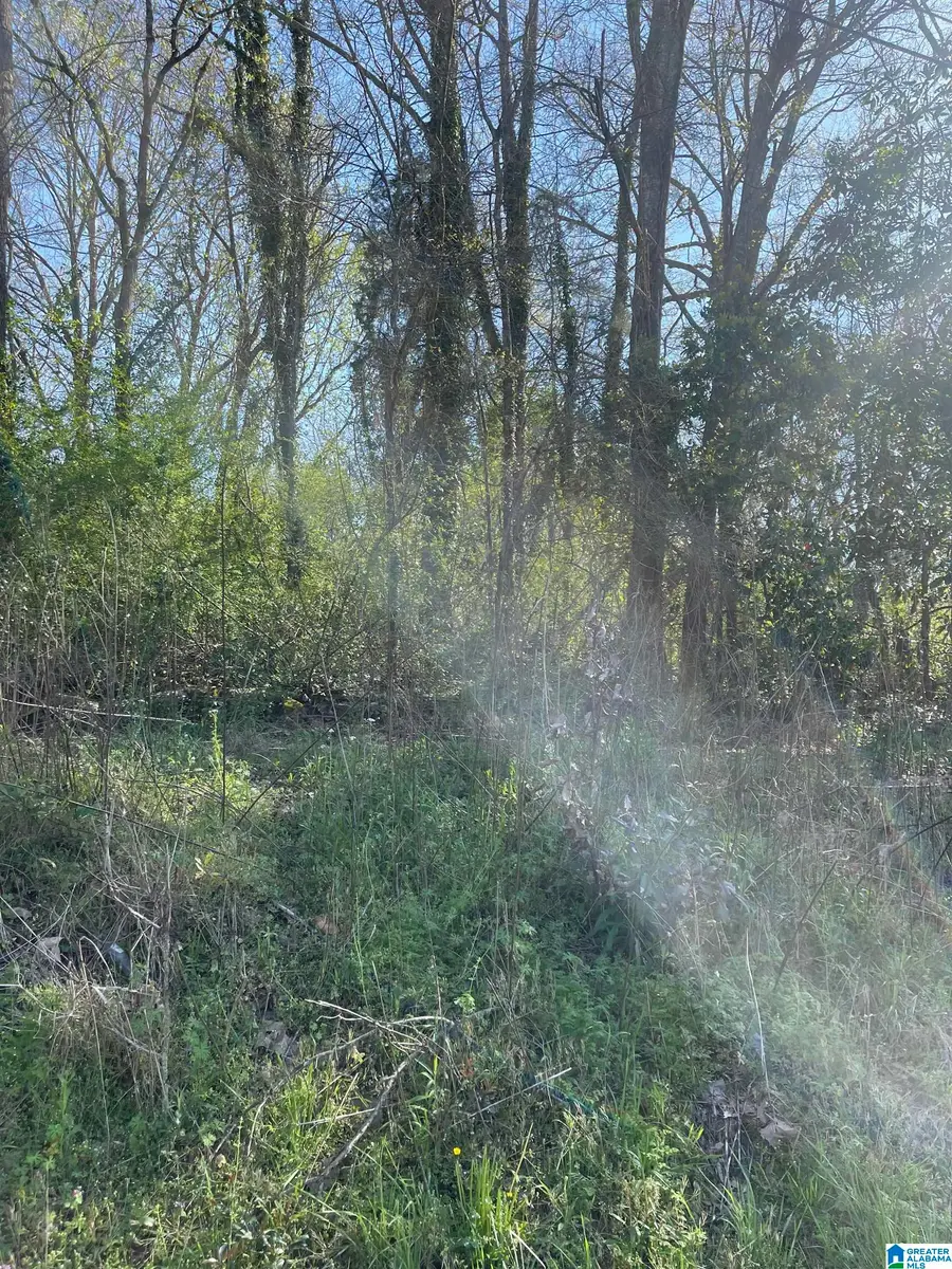 0 FRANKLIN STREET, Roanoke, AL 36274 - #2