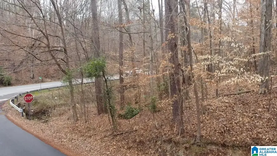 GREENHILL ROAD, Sylacauga, AL 35150 - #3