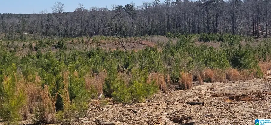 0 HIGHWAY 139, Randolph, AL 36792 - #2