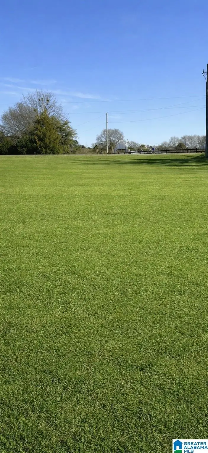 Lot 8 COUNTY ROAD 1002, Clanton, AL 35045 - #1