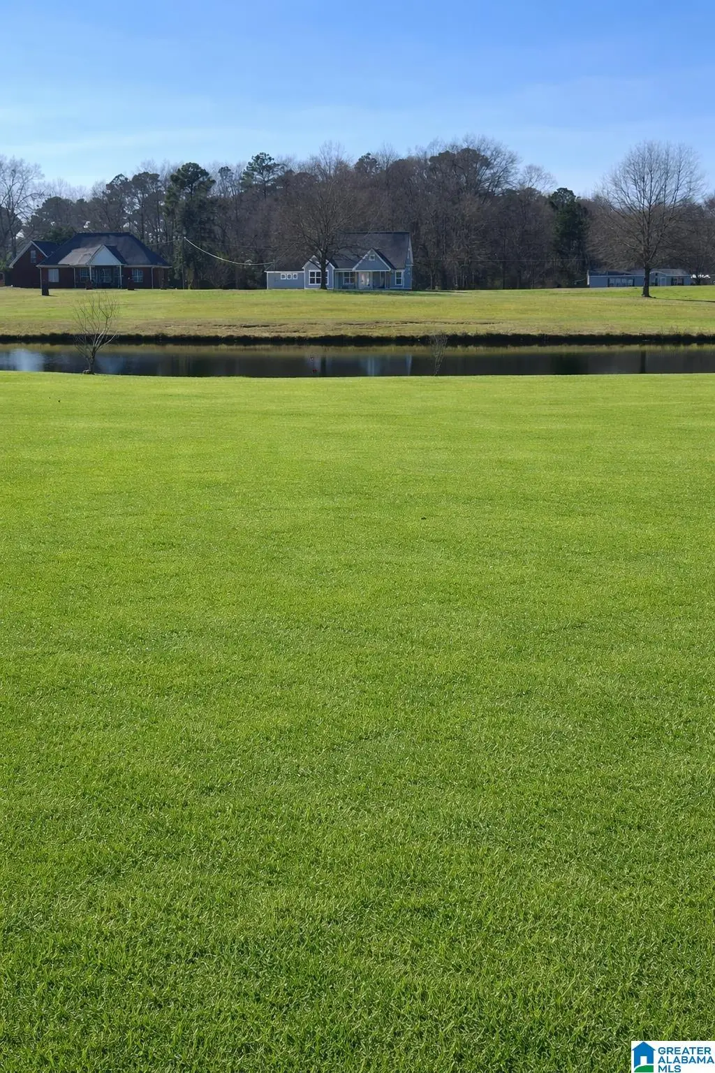 Lot 6 COUNTY ROAD 429, Clanton, AL 35045 - #1