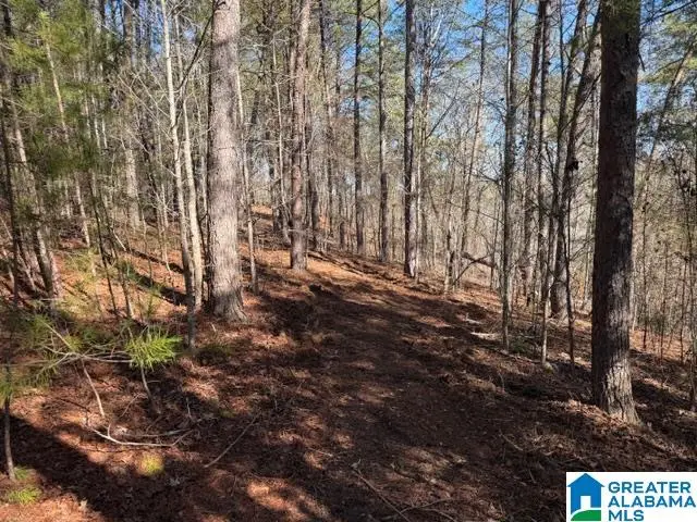 51 AQUA DRIVE, Wedowee, AL 36278 - #2