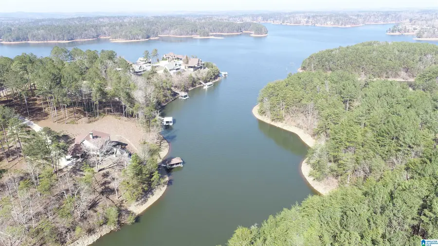 51 AQUA DRIVE, Wedowee, AL 36278 - #3