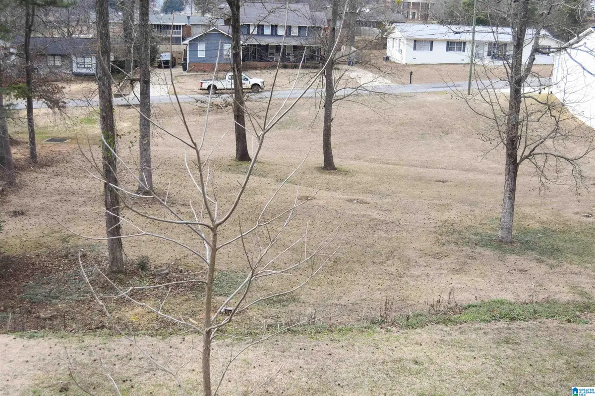 0 SHELLY LYNN DRIVE, Oxford, AL 36203 - #1