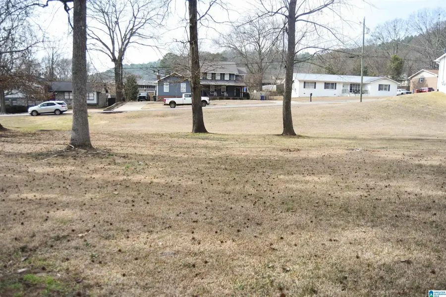 0 SHELLY LYNN DRIVE, Oxford, AL 36203 - #3