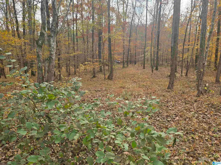 291 CRAIN LANE, Sylacauga, AL 35151 - #2