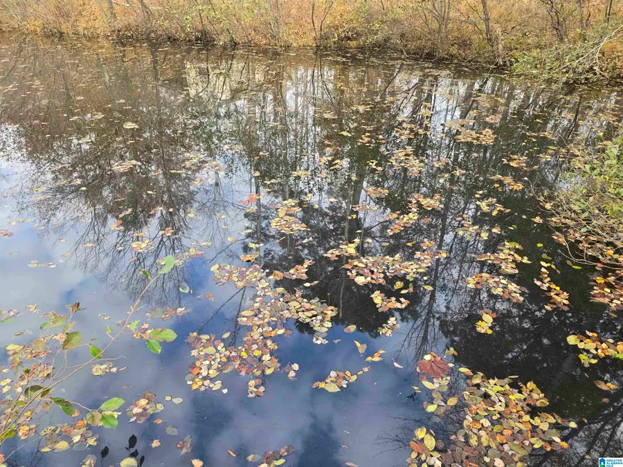 291 CRAIN LANE, Sylacauga, AL 35151 - #3