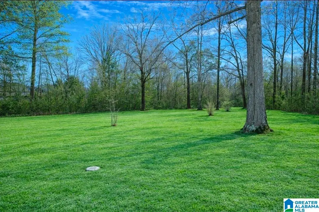 198 OAK DRIVE, Sumiton, AL 35148 - #1