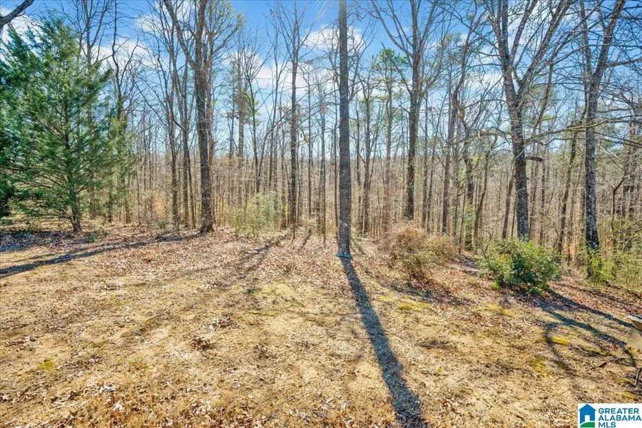 1025 WILLOWBROOK ROAD, Birmingham, AL 35215 - #3