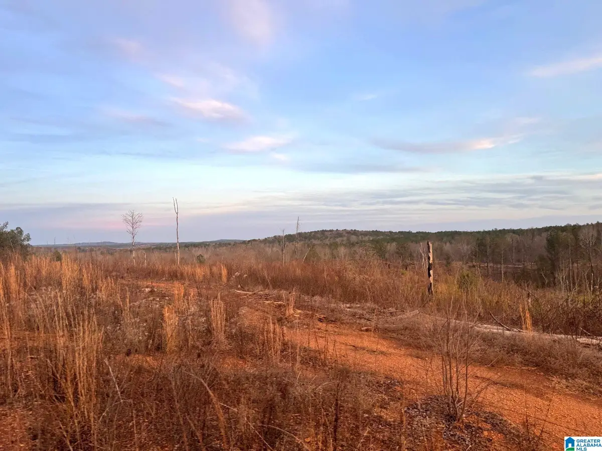 WALKER ROAD, Cragford, AL 36255 - #1