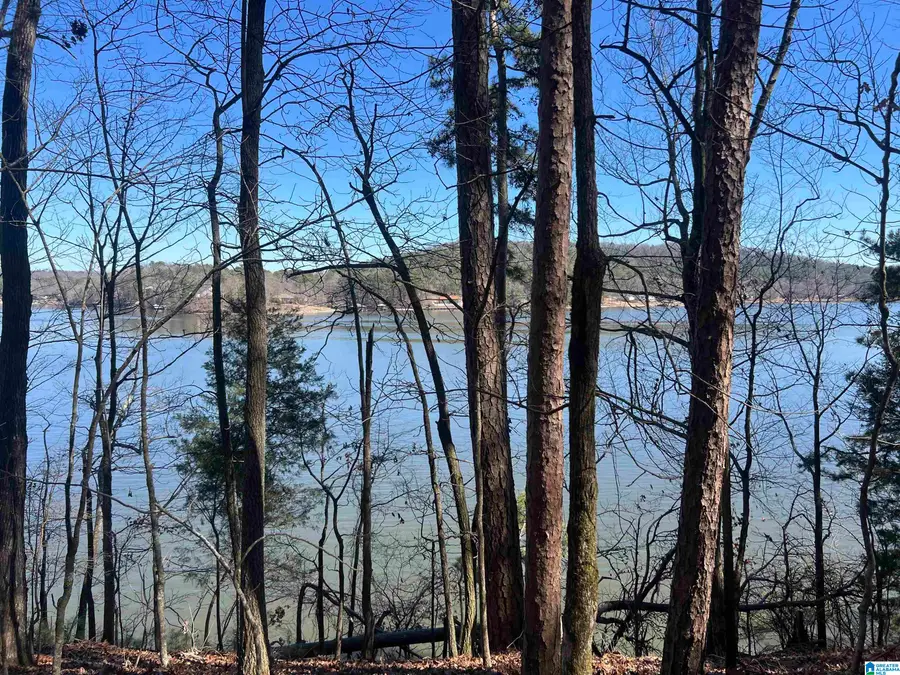 LOT 29 WAITES DRIVE N, Cropwell, AL 35054 - #2