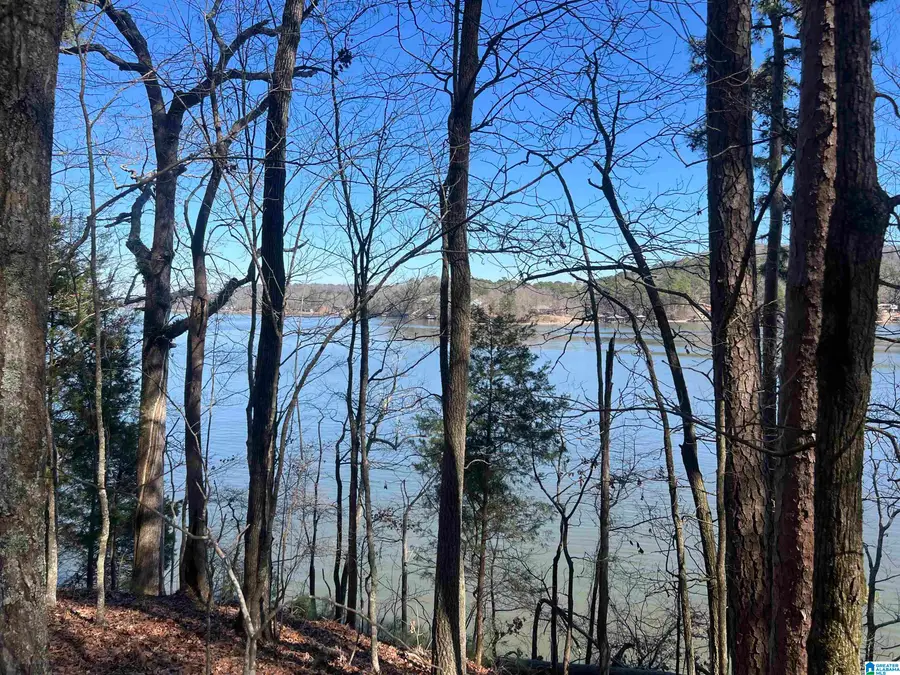 LOT 29 WAITES DRIVE N, Cropwell, AL 35054 - #3