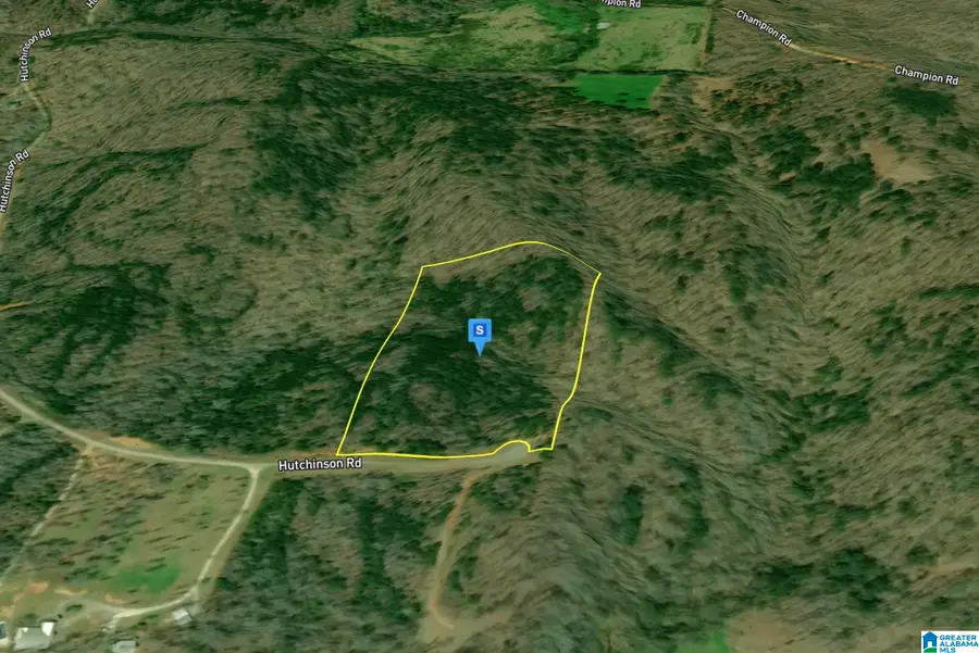 1001 HUTCHINSON ROAD, Alexander City, AL 35010 - #2