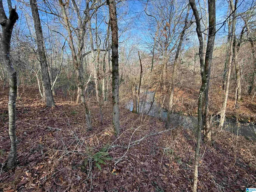 0 COUNTY ROAD 208, Heflin, AL 36264 - #3