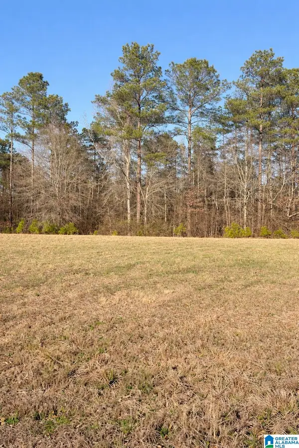 Lot 1 COUNTY ROAD 25, Jemison, AL 35085