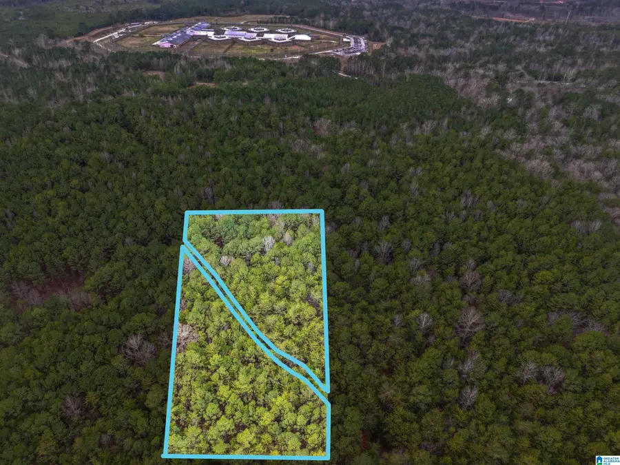 255 WARRIOR LANE, Bessemer, AL 35023 - #3