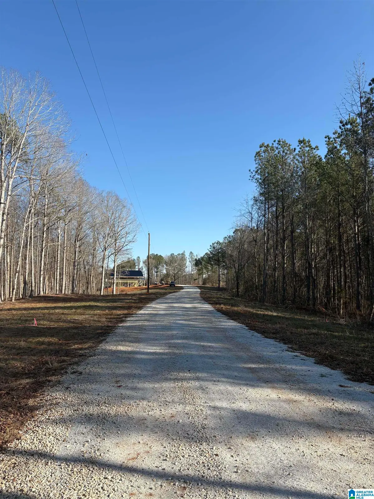 Lot12 COUNTY ROAD 499, Woodland, AL 36280 - #1