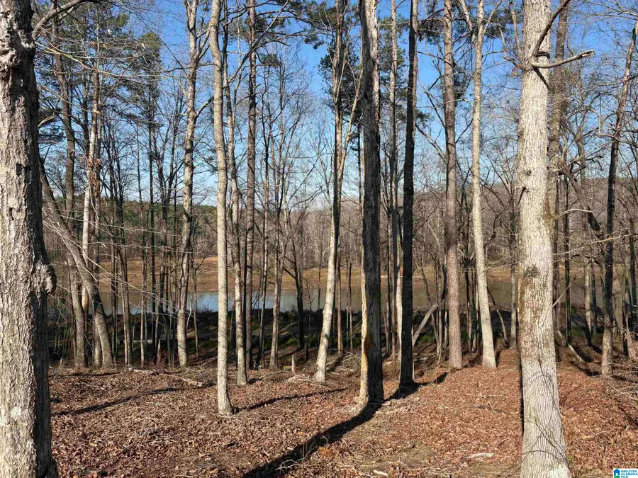 Lot12 COUNTY ROAD 499, Woodland, AL 36280 - #3