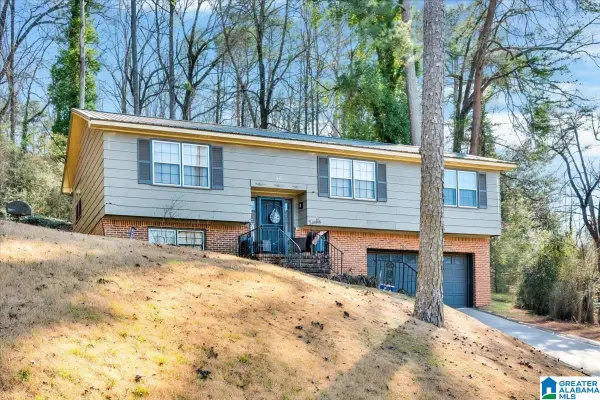 1001 TAMMY ANNE DRIVE, Birmingham, AL 35235