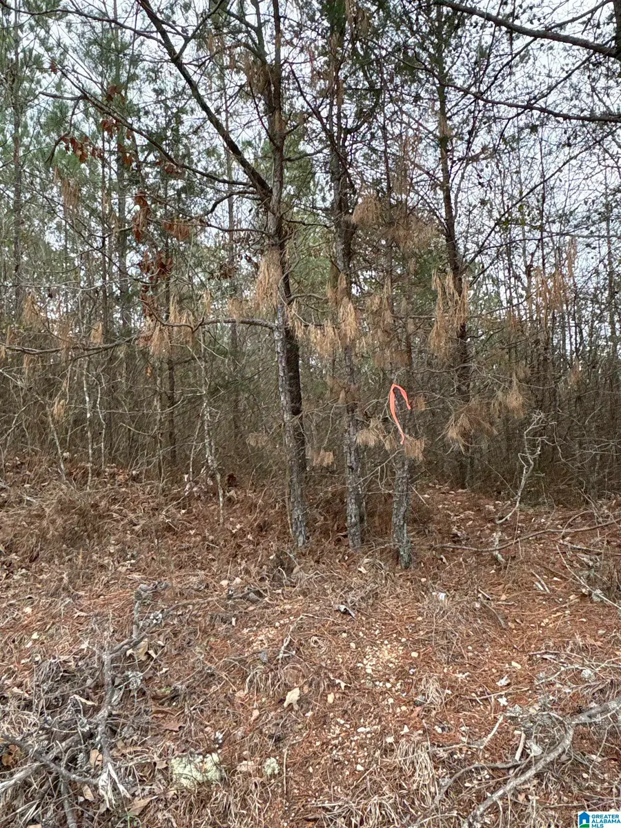 0 COUNTY ROAD 256, Clanton, AL 35046 - #2