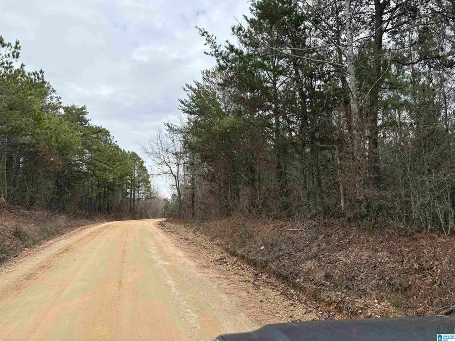 0 COUNTY ROAD 256, Clanton, AL 35046 - #3