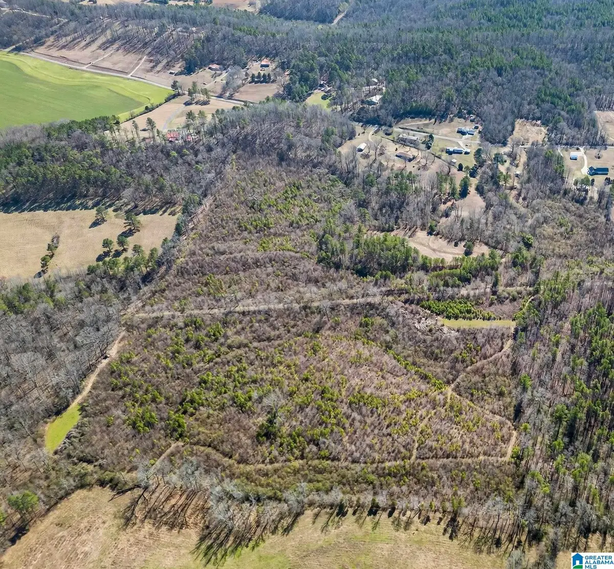 0 WELLINGTON ROAD, Wellington, AL 36279 - #1