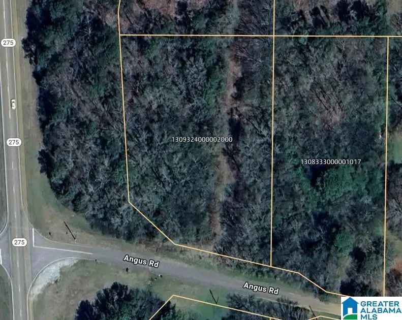 0 ANGUS STREET, Talladega, AL 35160 - #1