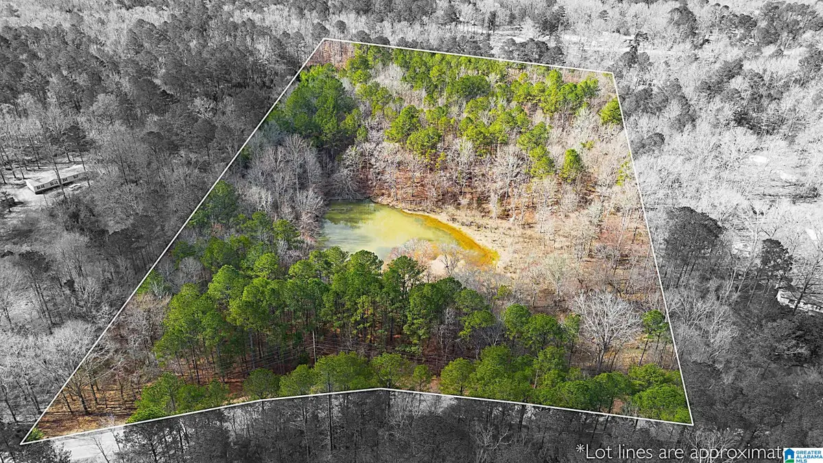 1000-1068 CAMP WINNATASKA ROAD, Pell City, AL 35128 - #1