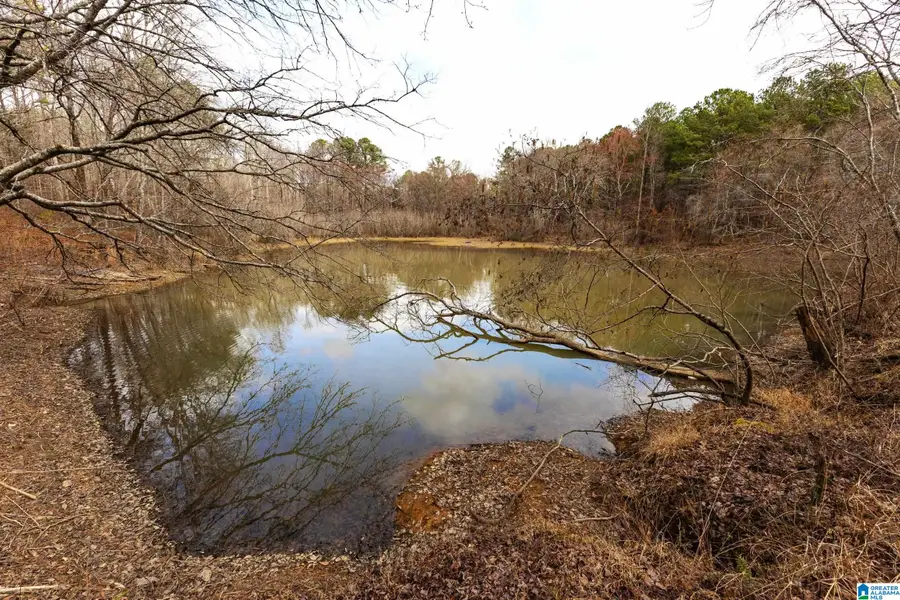 1000-1068 CAMP WINNATASKA ROAD, Pell City, AL 35128 - #3