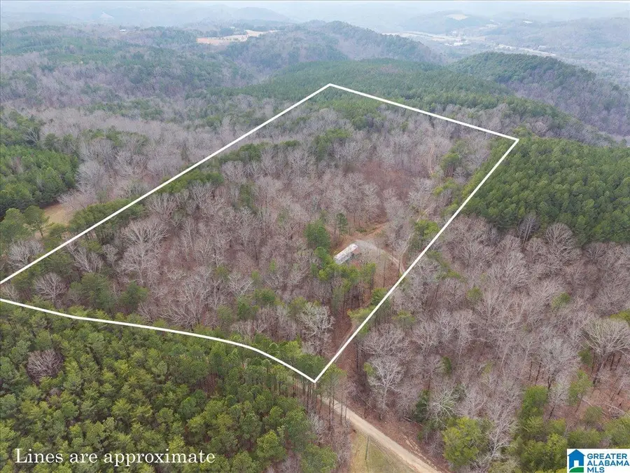 1484 WAID ROAD, Oneonta, AL 35121 - #2