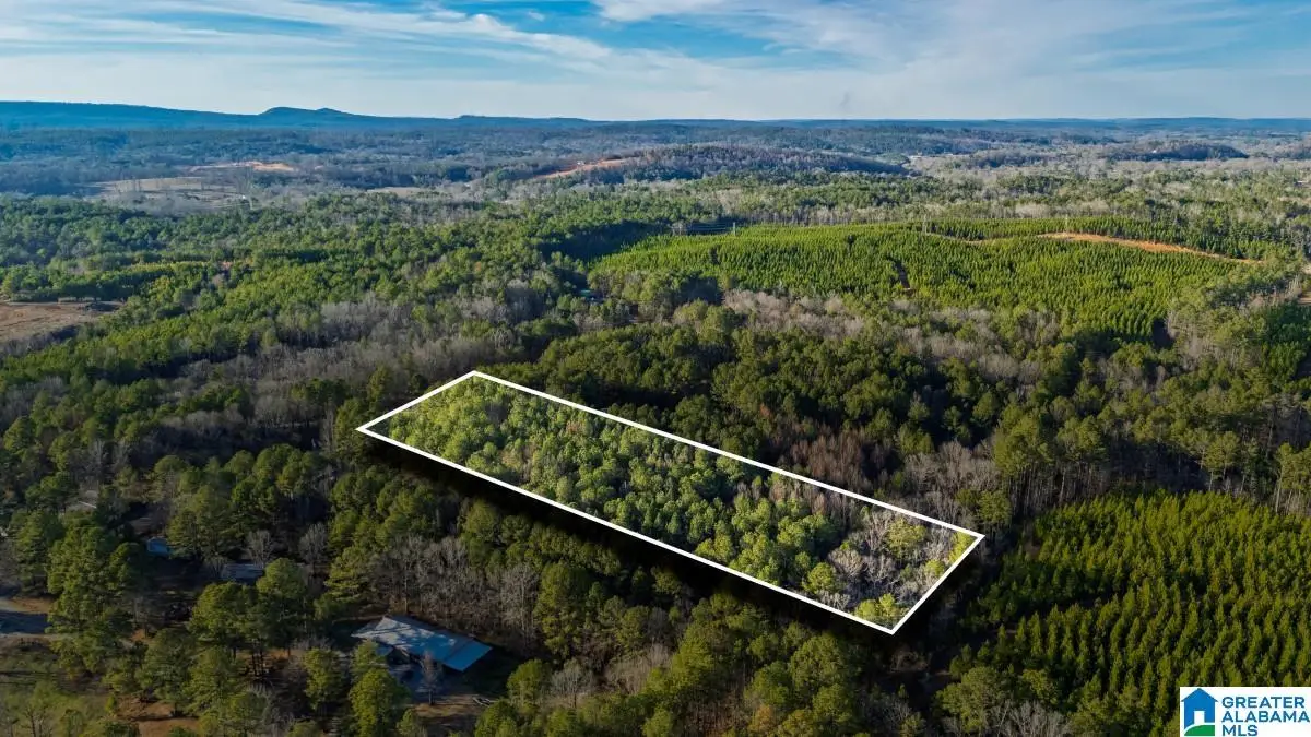 90 STEVENS DRIVE, Pell City, AL 35128 - #1