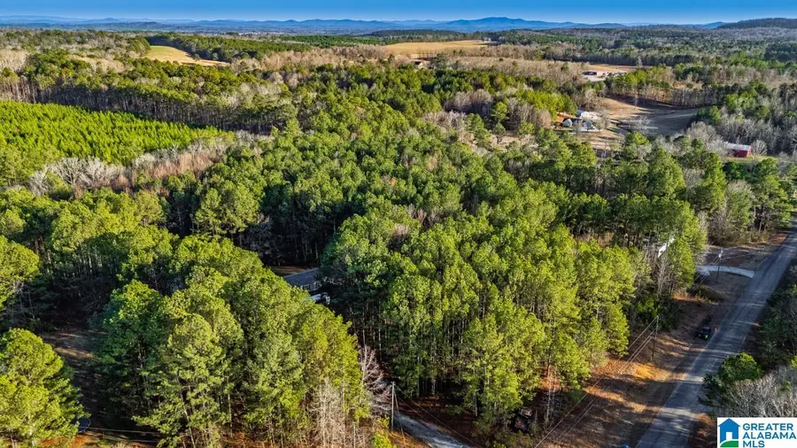 90 STEVENS DRIVE, Pell City, AL 35128 - #3