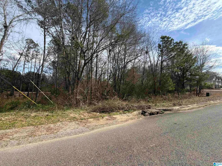 1112 BAYLOR COURT, Pell City, AL 35125 - #3