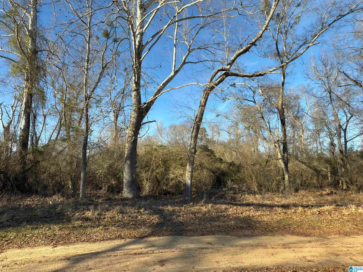 0 COUNTY ROAD 863, Stanton, AL 36750 - #1
