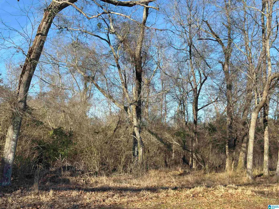 0 COUNTY ROAD 863, Stanton, AL 36750 - #2