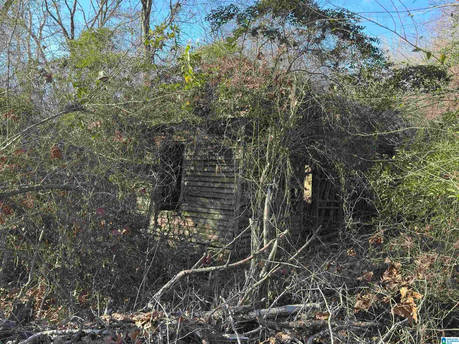0 COUNTY ROAD 863, Stanton, AL 36750 - #3