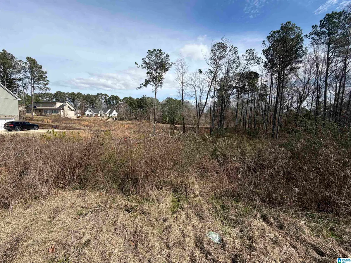 1116 BAYLOR COURT, Pell City, AL 35128 - #1