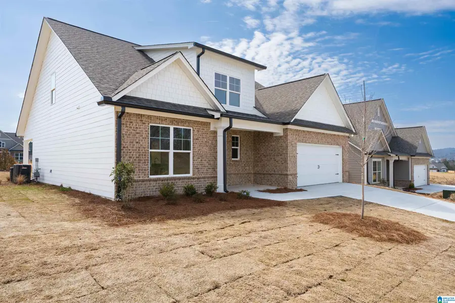 6624 LITTLE GOOSE DRIVE, Trussville, AL 35173 - #3