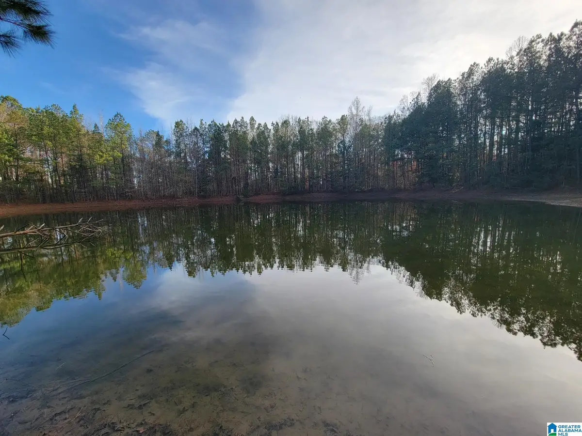 0 COUNTY ROAD 15, County, AL 36750 - #1