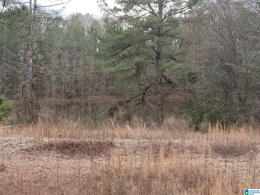 0 COUNTY ROAD 15, County, AL 36750 - #2